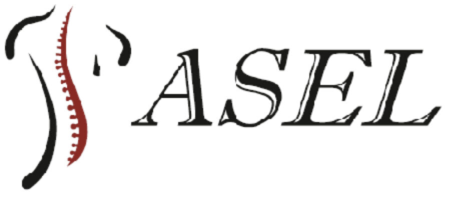 ASEL GRUP MEDİKAL